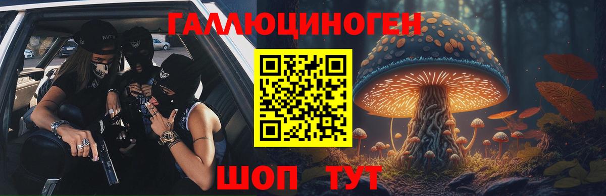 Галлюциногенные грибы GOLDEN TEACHER  Галлюциногенные грибы Psilocybine cubensis  Комсомольск-на-Амуре  Вход с VPN 